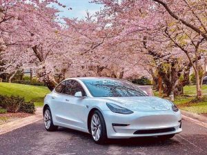 Unveiling the Tesla Model 3 Redefining Electric Mobility3